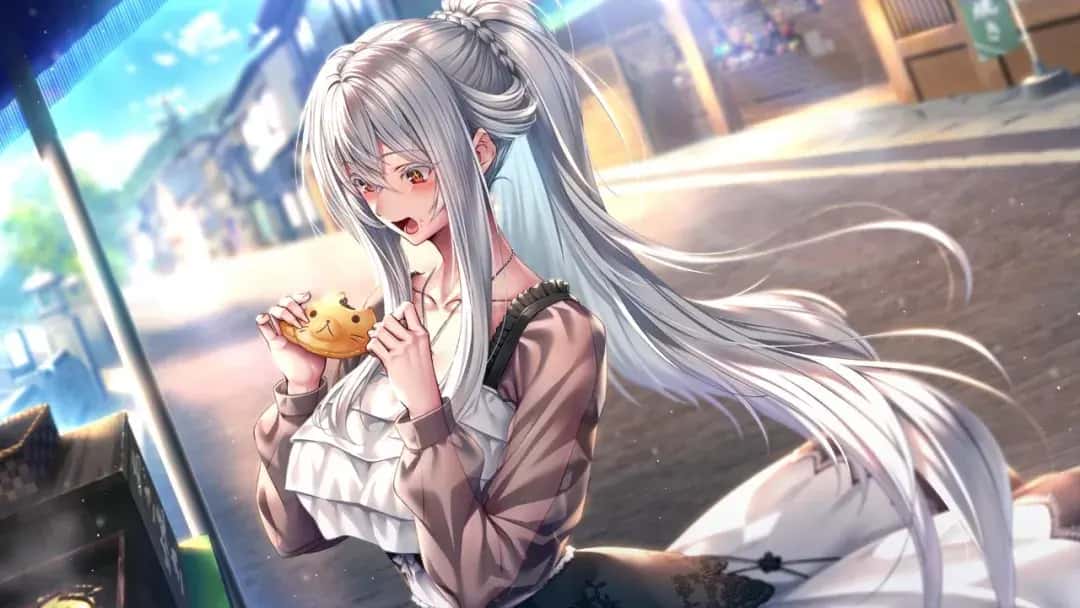 视觉数据5